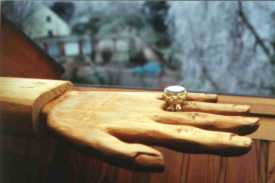 The reflectiive mirror ring.