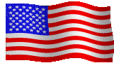 Flag of the United States of America